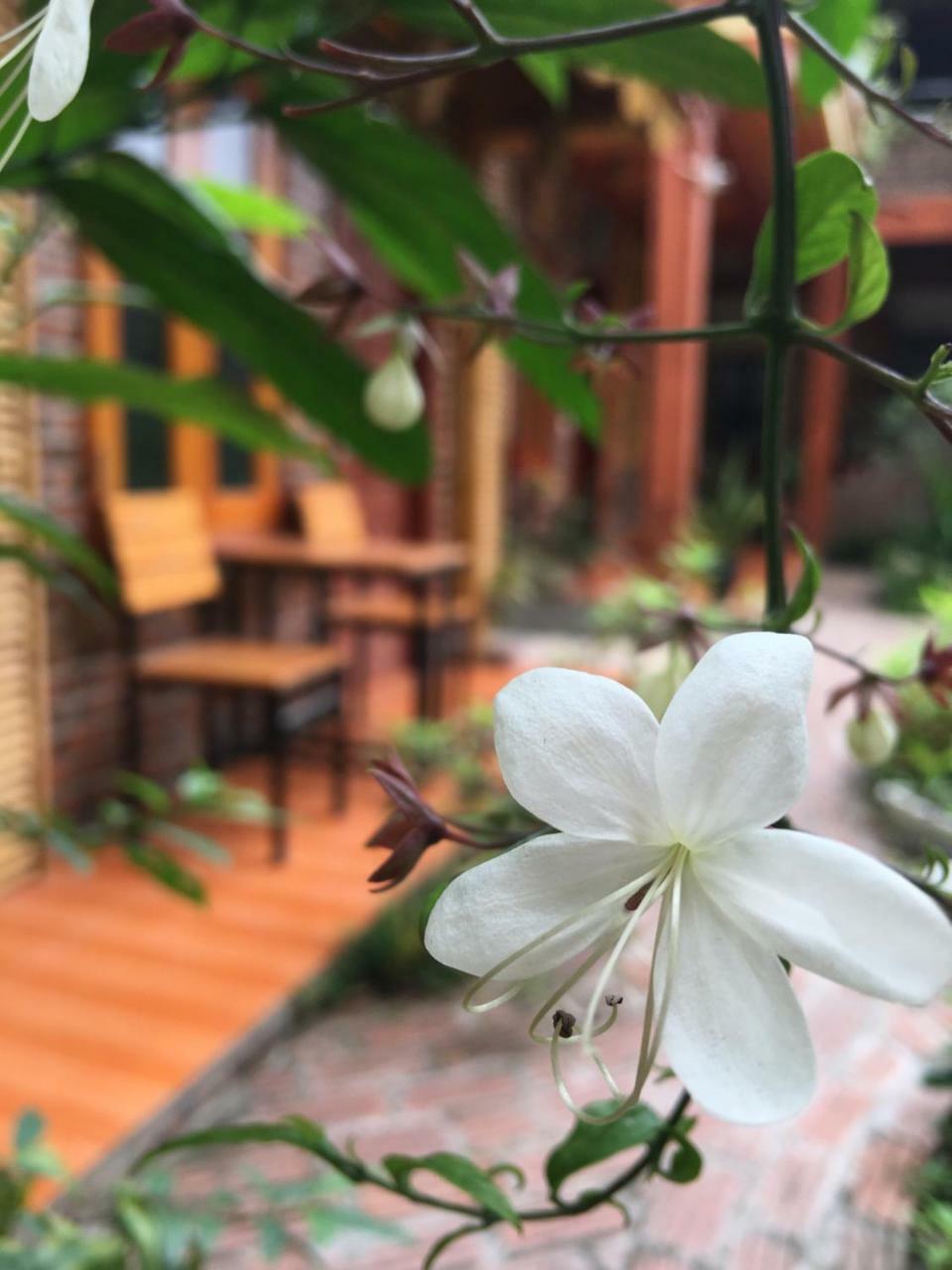 Tam Coc Memories Homestay Ninh Bình Exteriör bild